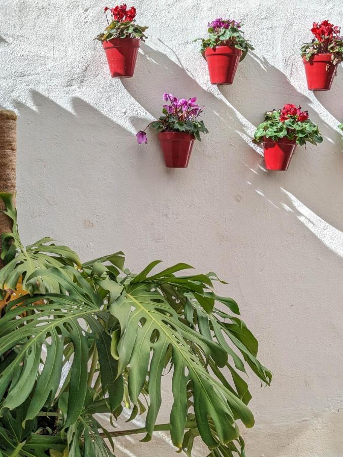 Harbor Getaway In The Heart Of Puerto Banus With Walking Dictance To Everything Marbella Exterior photo